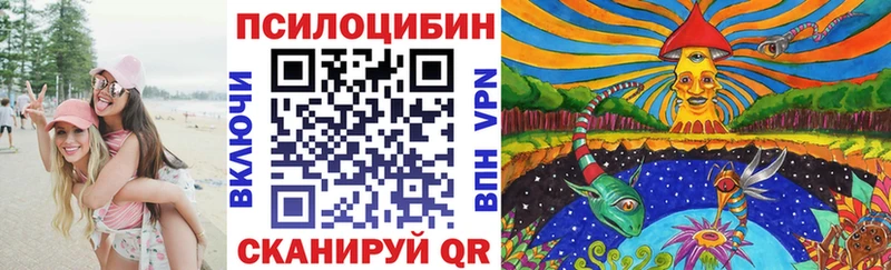 что такое наркотик  Туринск  Псилоцибиновые грибы Cubensis 